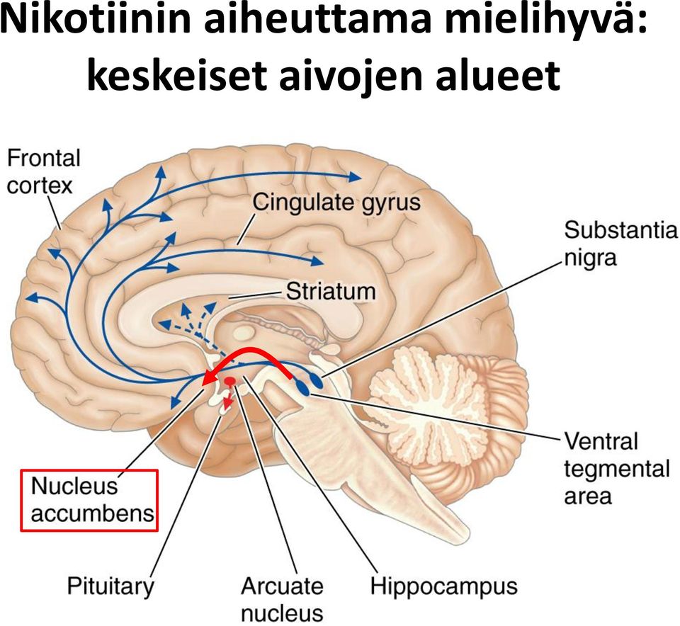 mielihyvä: