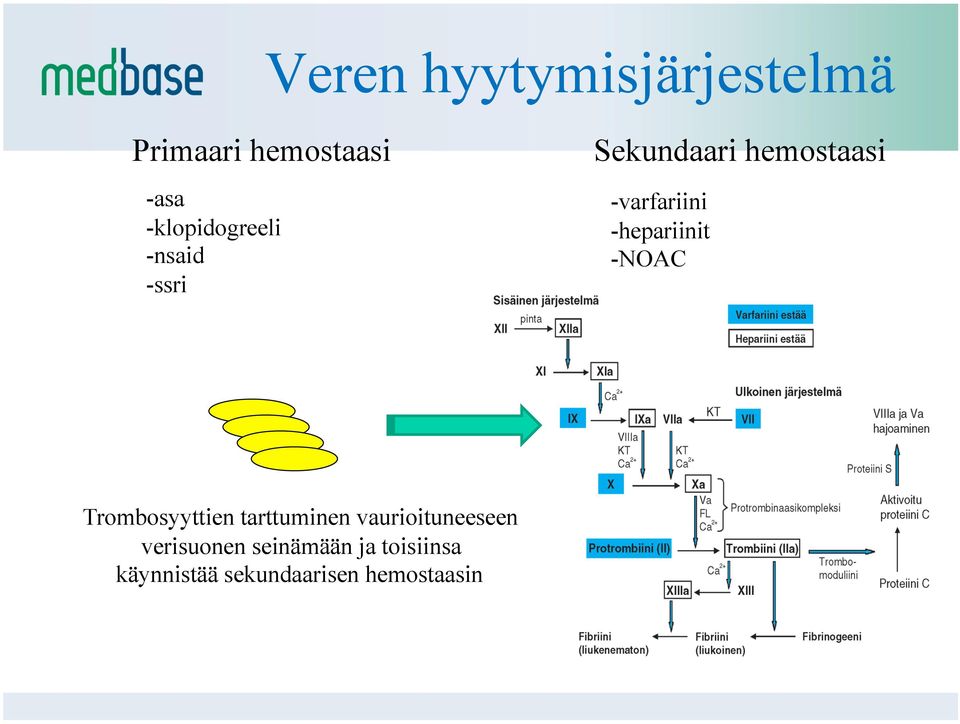 -hepariinit -NOAC Trombosyyttien tarttuminen vaurioituneeseen