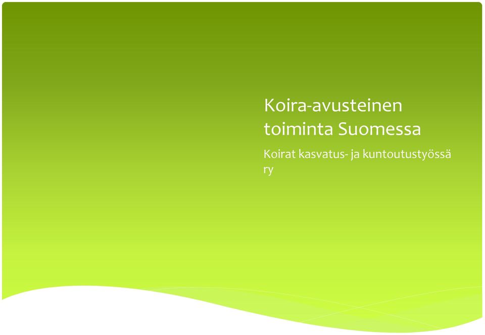 Koirat kasvatus-