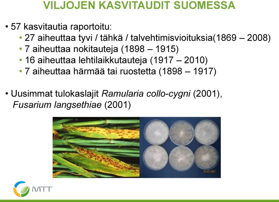 aiheuttaa lehtilaikkutauteja (1917 2010) 7 aiheuttaa härmää tai ruostetta (1898