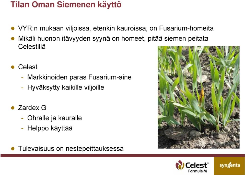 Celestillä Celest - Markkinoiden paras Fusarium-aine - Hyväksytty kaikille