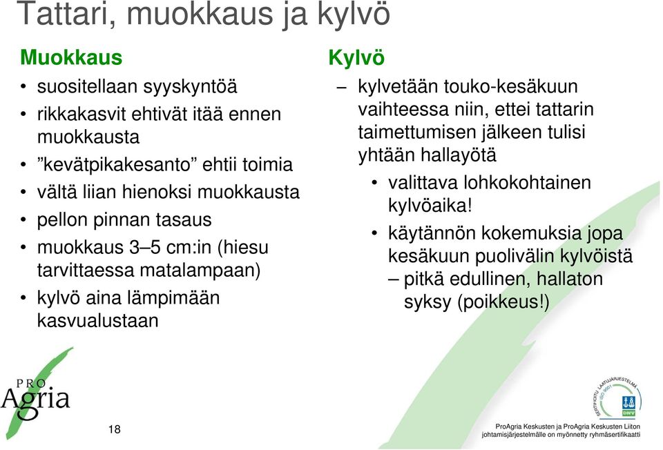 lämpimään kasvualustaan Kylvö kylvetään touko-kesäkuun vaihteessa niin, ettei tattarin taimettumisen jälkeen tulisi yhtään