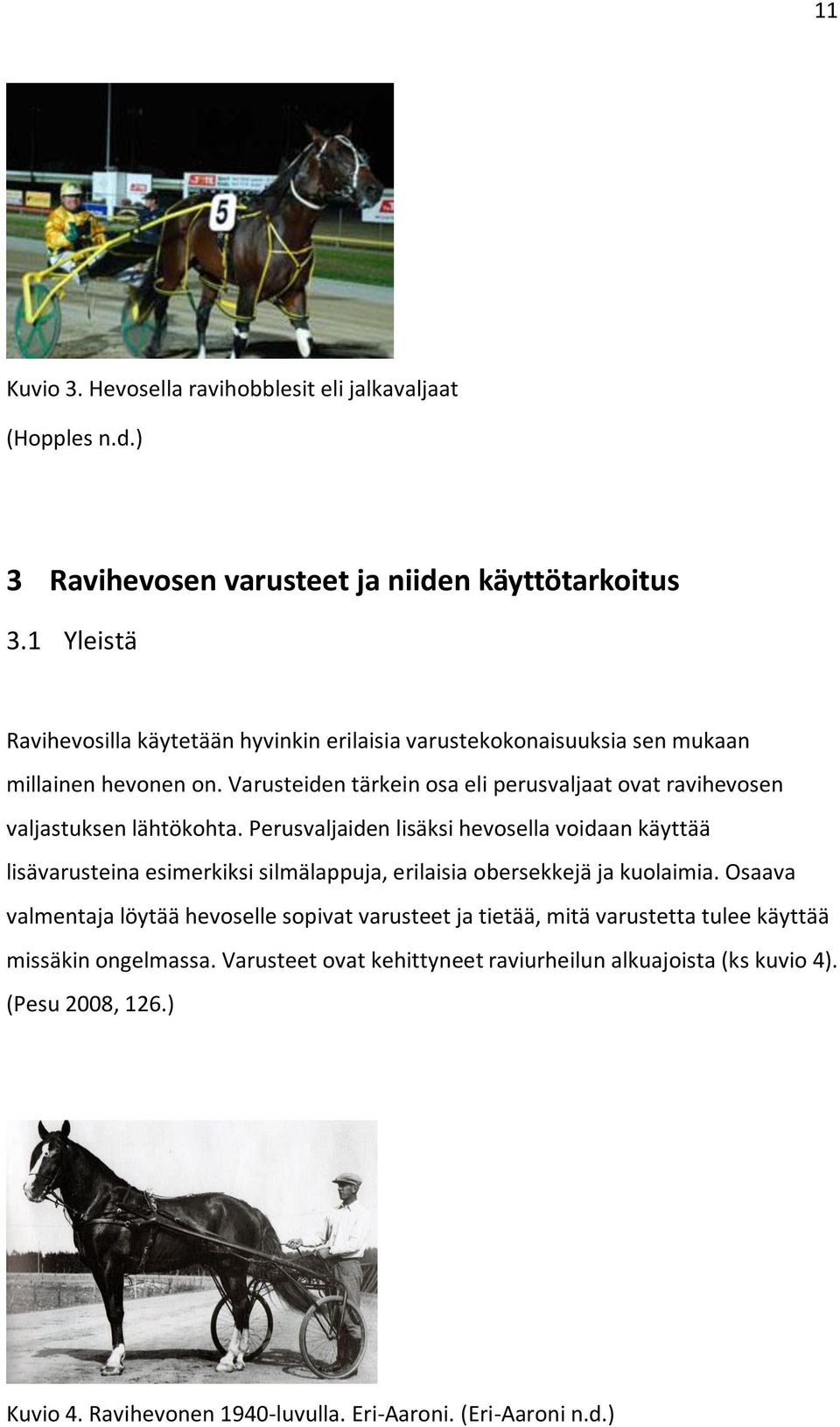 Varusteiden tärkein osa eli perusvaljaat ovat ravihevosen valjastuksen lähtökohta.