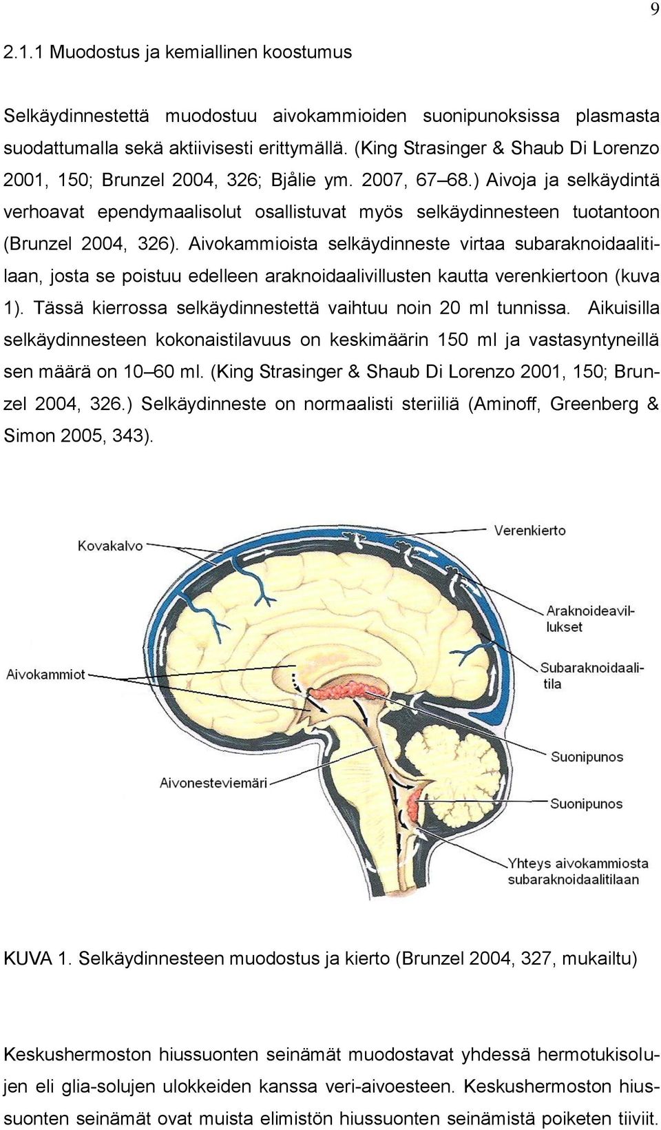 ) Aivoja ja selkäydintä verhoavat ependymaalisolut osallistuvat myös selkäydinnesteen tuotantoon (Brunzel 2004, 326).