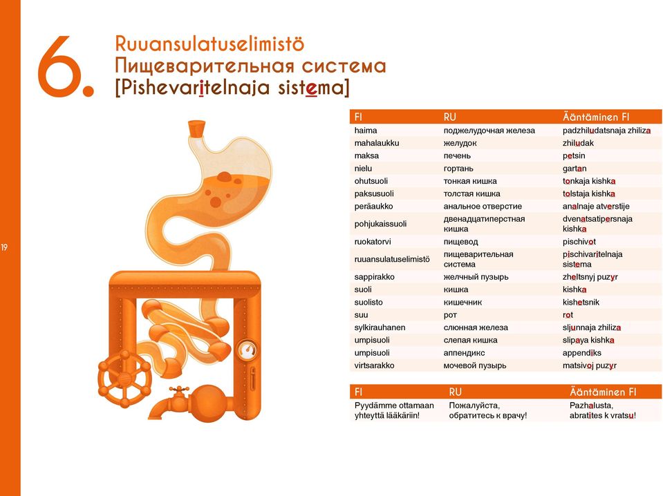 ruuansulatuselimistö пищеварительная система dvenatsatipersnaja kishka pischivaritelnaja sistema sappirakko желчный пузырь zheltsnyj puzyr suoli кишка kishka suolisto кишечник kishetsnik suu рот rot