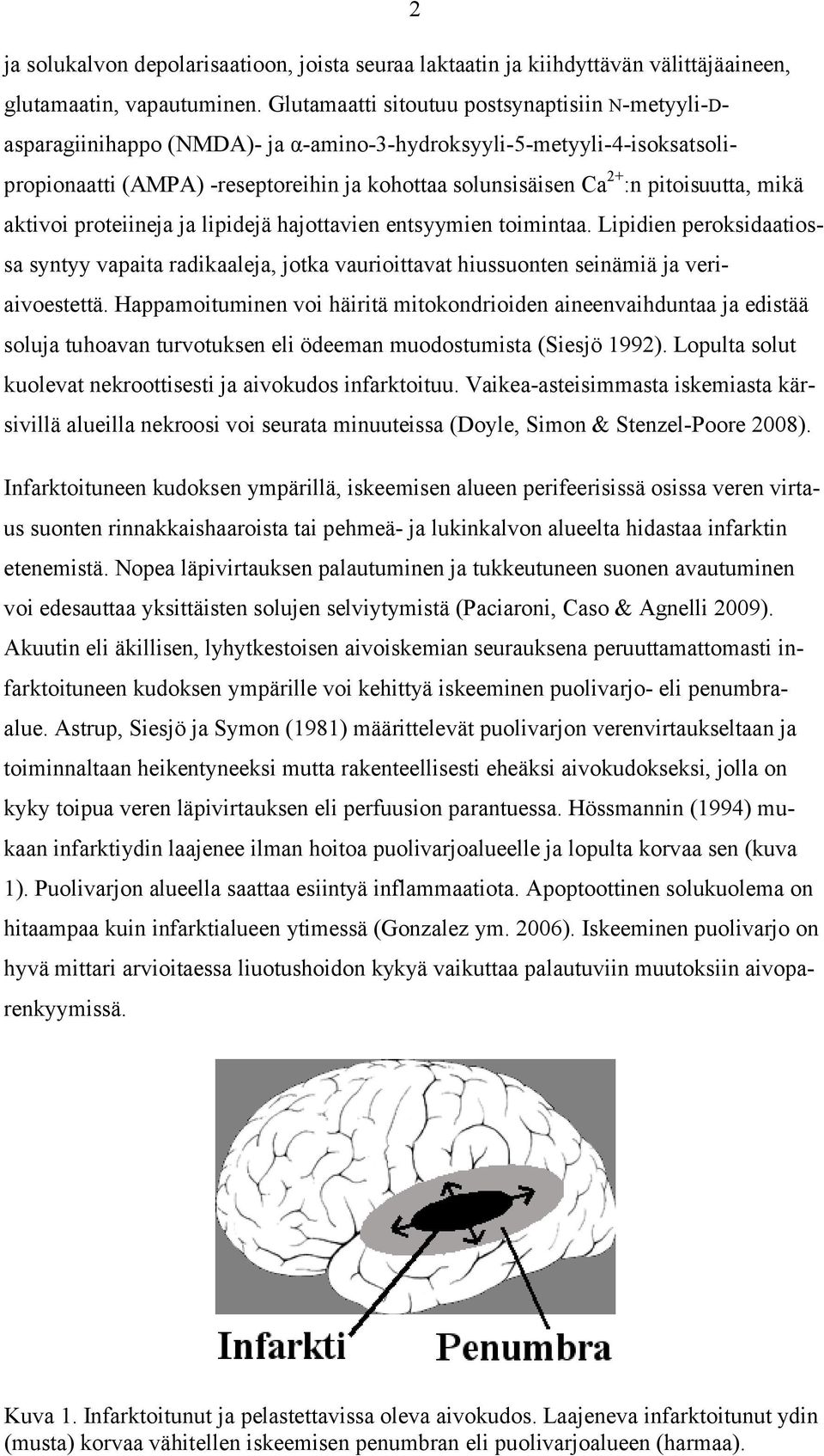pitoisuutta, mikä aktivoi proteiineja ja lipidejä hajottavien entsyymien toimintaa. Lipidien peroksidaatiossa syntyy vapaita radikaaleja, jotka vaurioittavat hiussuonten seinämiä ja veriaivoestettä.