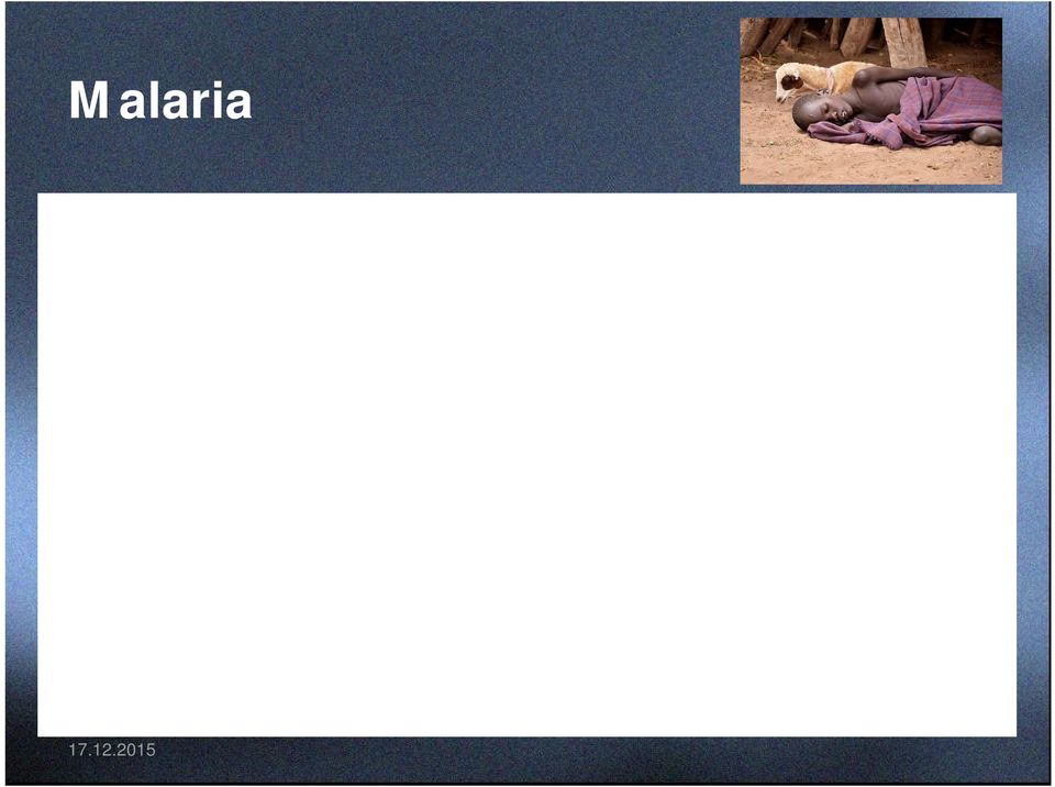 Suurin osa malariatapauksista ja -kuolemista on trooppisessa Afrikassa.