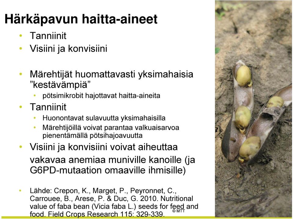 Visiini ja konvisiini voivat aiheuttaa vakavaa anemiaa muniville kanoille (ja G6PD-mutaation omaaville ihmisille) Lähde: Crepon, K., Marget, P.