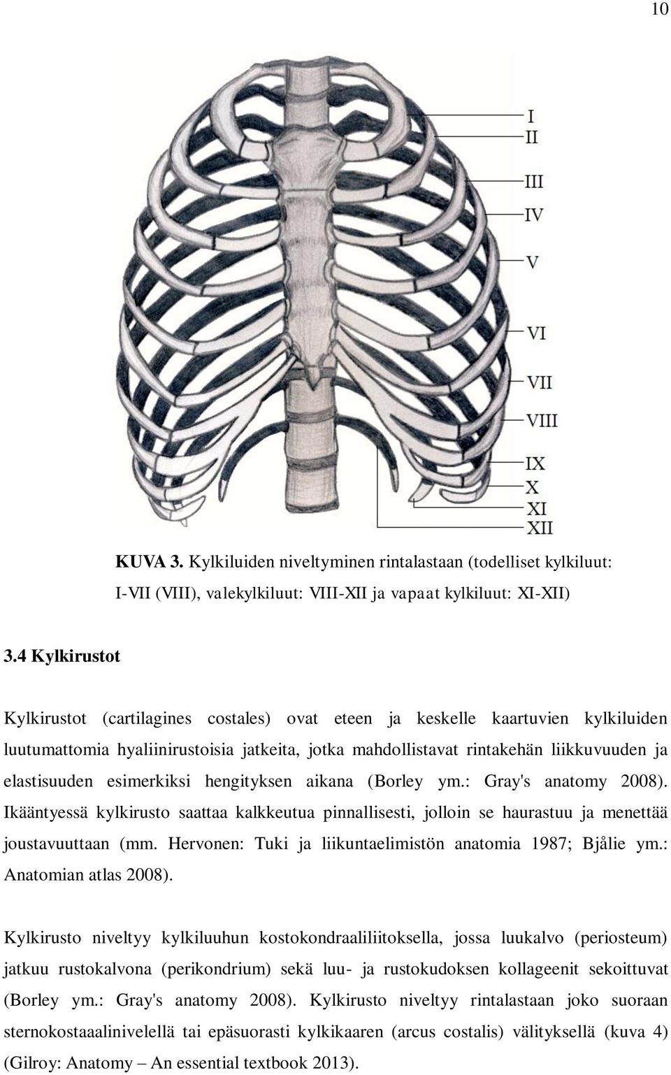 esimerkiksi hengityksen aikana (Borley ym.: Gray's anatomy 2008). Ikääntyessä kylkirusto saattaa kalkkeutua pinnallisesti, jolloin se haurastuu ja menettää joustavuuttaan (mm.