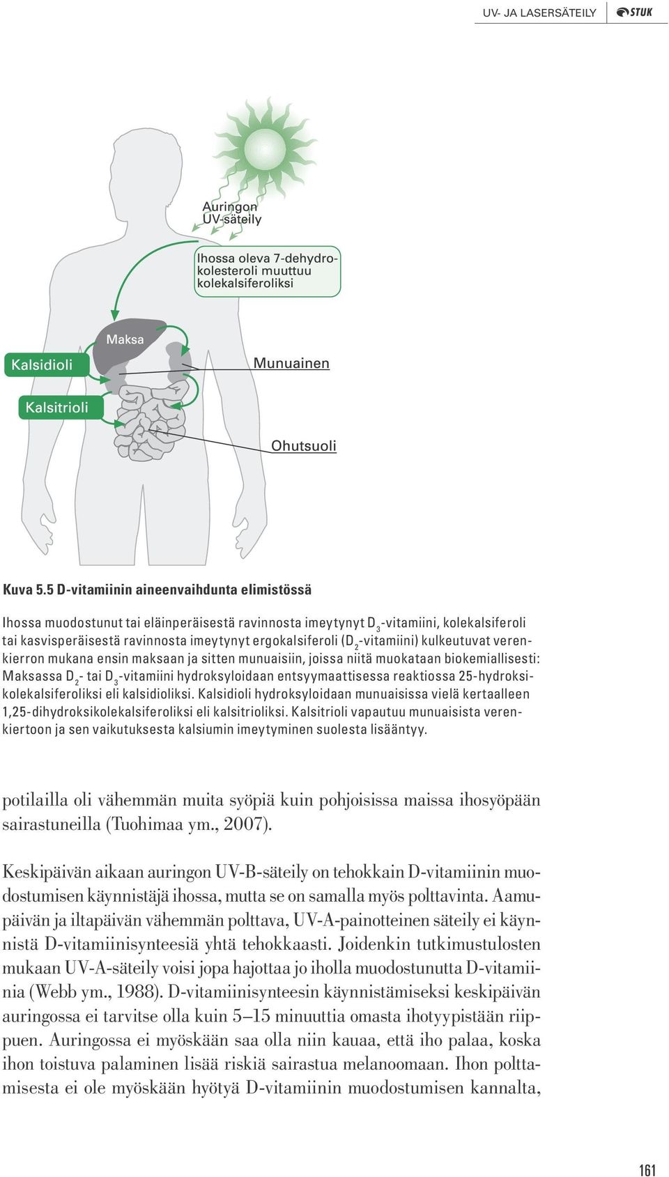 -vitamiini) kulkeutuvat verenkierron mukana ensin maksaan ja sitten munuaisiin, joissa niitä muokataan biokemiallisesti: Maksassa D 2 - tai D 3 -vitamiini hydroksyloidaan entsyymaattisessa reaktiossa