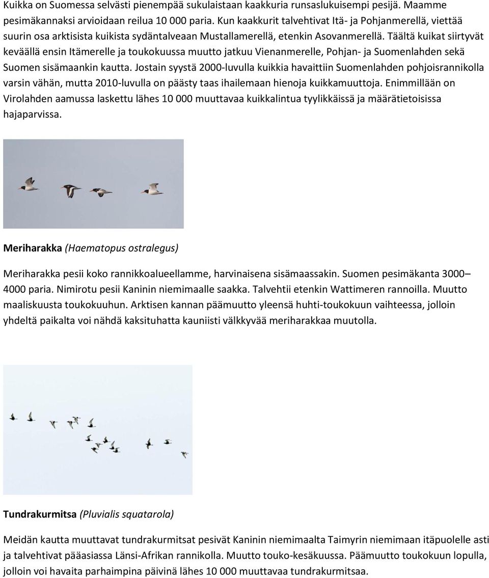 Täältä kuikat siirtyvät keväällä ensin Itämerelle ja toukokuussa muutto jatkuu Vienanmerelle, Pohjan- ja Suomenlahden sekä Suomen sisämaankin kautta.