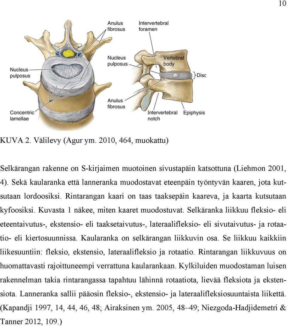 Kuvasta 1 näkee, miten kaaret muodostuvat. Selkäranka liikkuu fleksio- eli eteentaivutus-, ekstensio- eli taaksetaivutus-, lateraalifleksio- eli sivutaivutus- ja rotaatio- eli kiertosuunnissa.