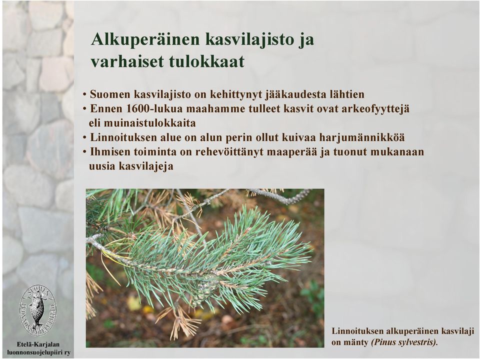 Linnoituksen alue on alun perin ollut kuivaa harjumännikköä Ihmisen toiminta on rehevöittänyt