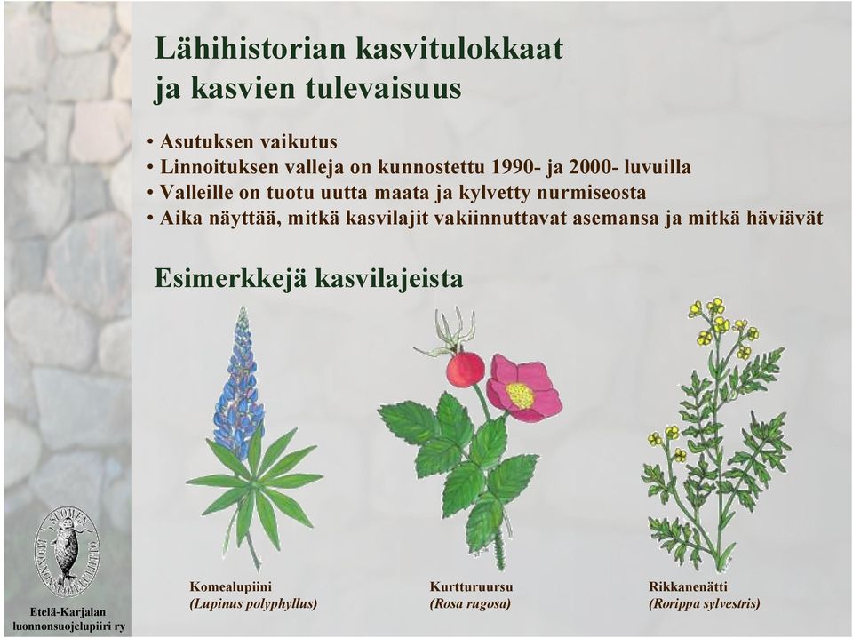 Aika näyttää, mitkä kasvilajit vakiinnuttavat asemansa ja mitkä häviävät Esimerkkejä