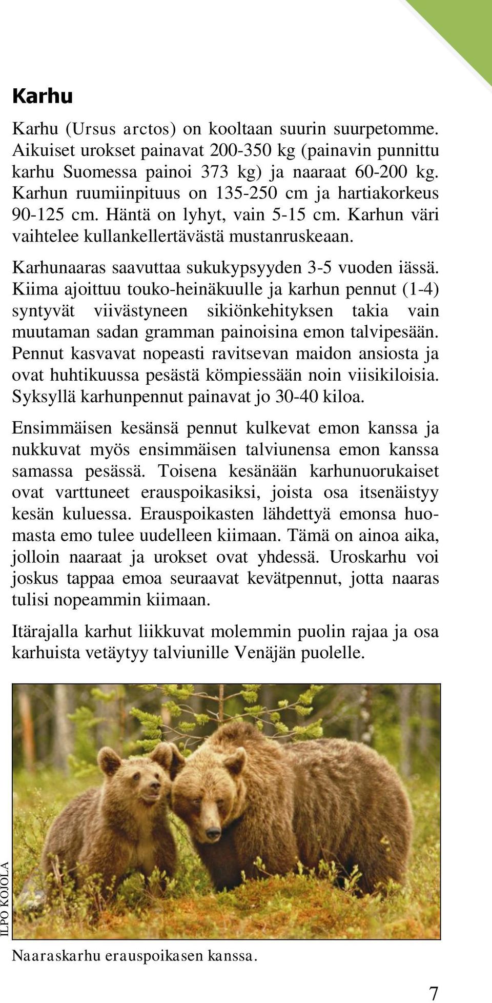 Karhunaaras saavuttaa sukukypsyyden 3-5 vuoden iässä.