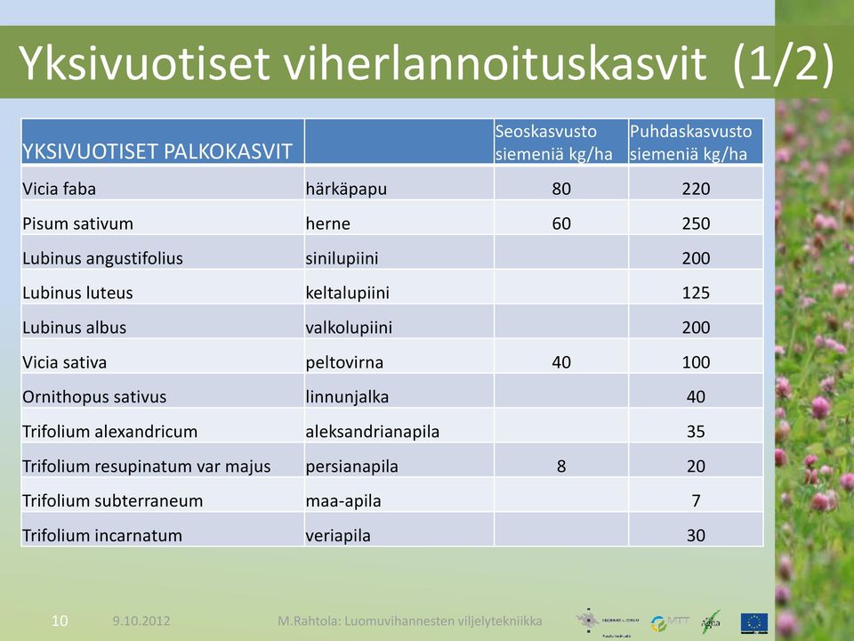 Lubinus albus valkolupiini 200 Vicia sativa peltovirna 40 100 Ornithopus sativus linnunjalka 40 Trifolium alexandricum