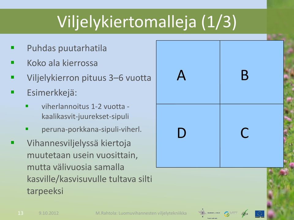 kaalikasvit-juurekset-sipuli peruna-porkkana-sipuli-viherl.