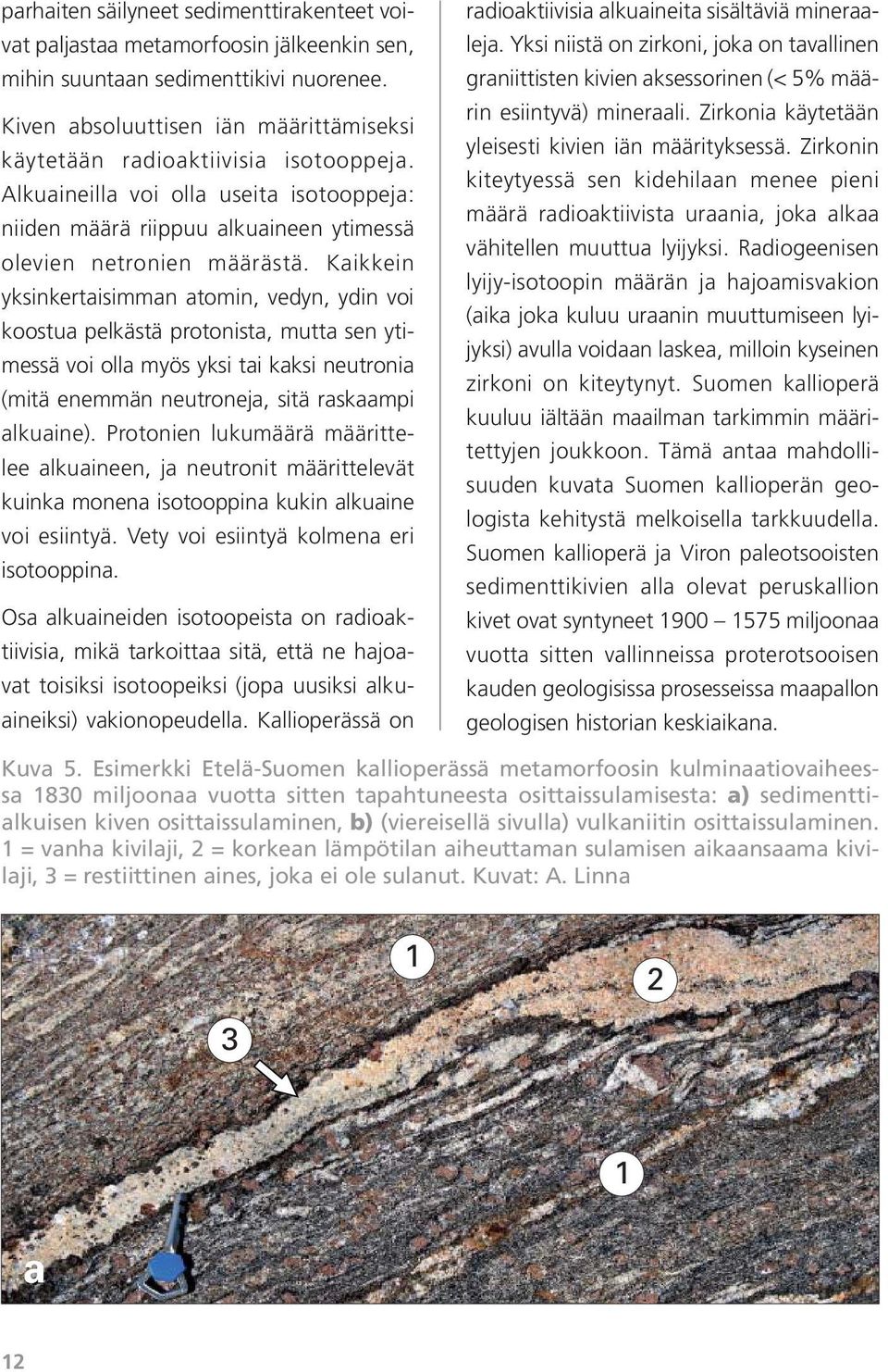 Kaikkein yksinkertaisimman atomin, vedyn, ydin voi koostua pelkästä protonista, mutta sen ytimessä voi olla myös yksi tai kaksi neutronia (mitä enemmän neutroneja, sitä raskaampi alkuaine).