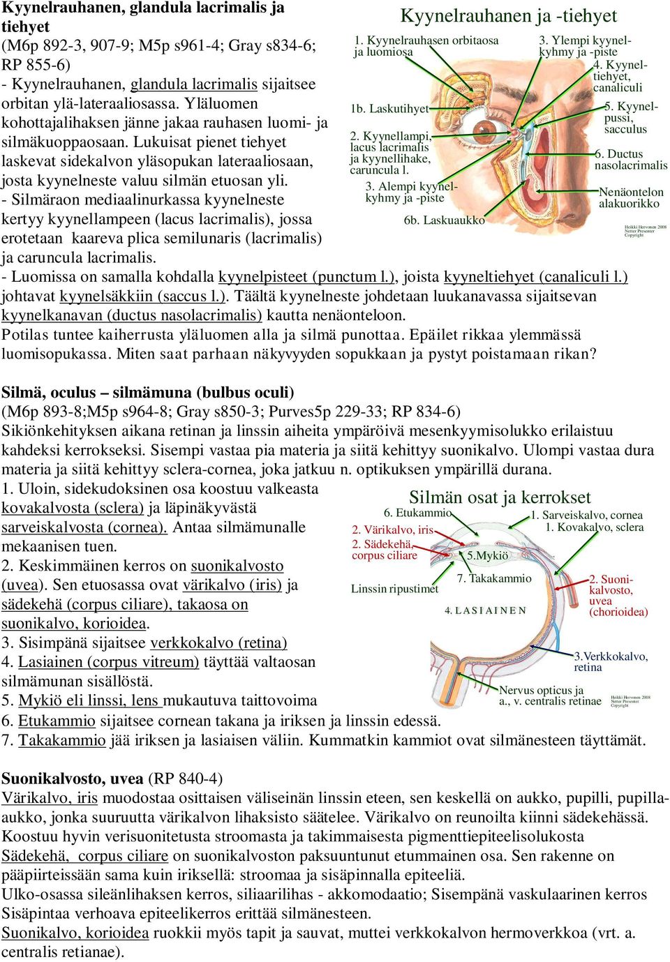 - Silmäraon mediaalinurkassa kyynelneste kertyy kyynellampeen (lacus lacrimalis), jossa erotetaan kaareva plica semilunaris (lacrimalis) ja caruncula lacrimalis. Kyynelrauhanen ja -tiehyet 1.