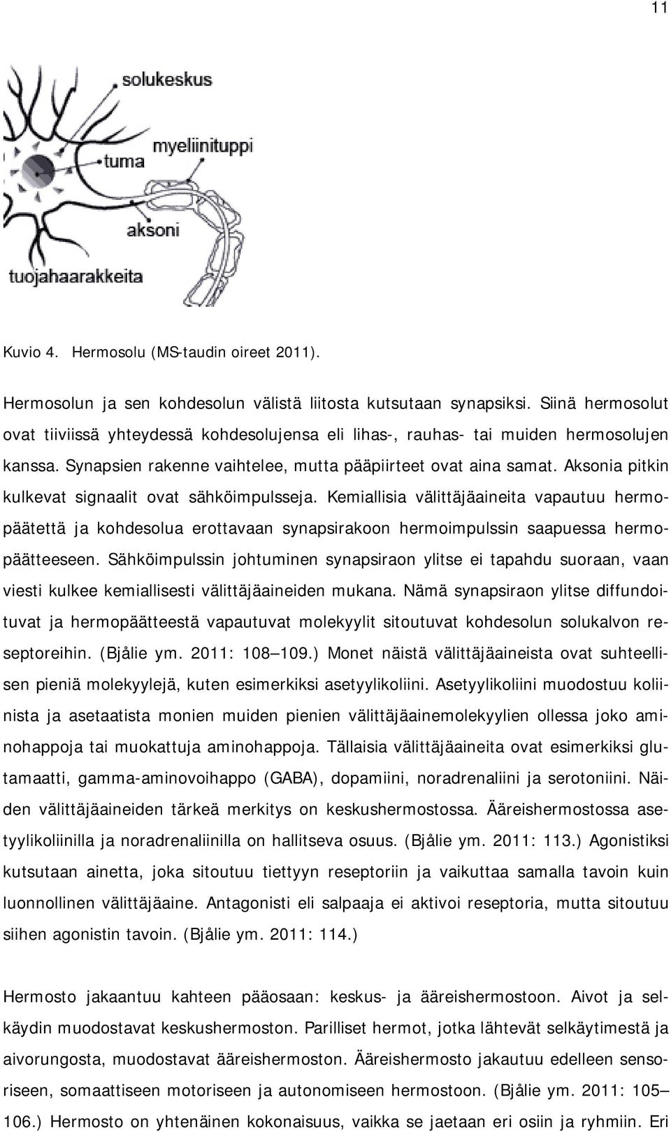 Aksonia pitkin kulkevat signaalit ovat sähköimpulsseja. Kemiallisia välittäjäaineita vapautuu hermopäätettä ja kohdesolua erottavaan synapsirakoon hermoimpulssin saapuessa hermopäätteeseen.