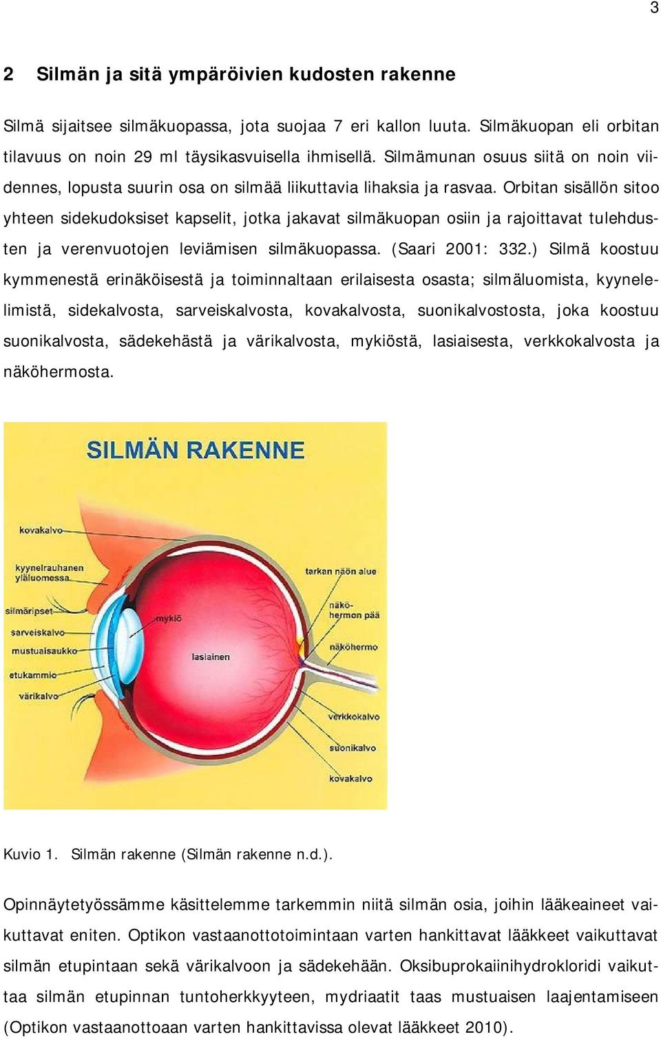 Orbitan sisällön sitoo yhteen sidekudoksiset kapselit, jotka jakavat silmäkuopan osiin ja rajoittavat tulehdusten ja verenvuotojen leviämisen silmäkuopassa. (Saari 2001: 332.