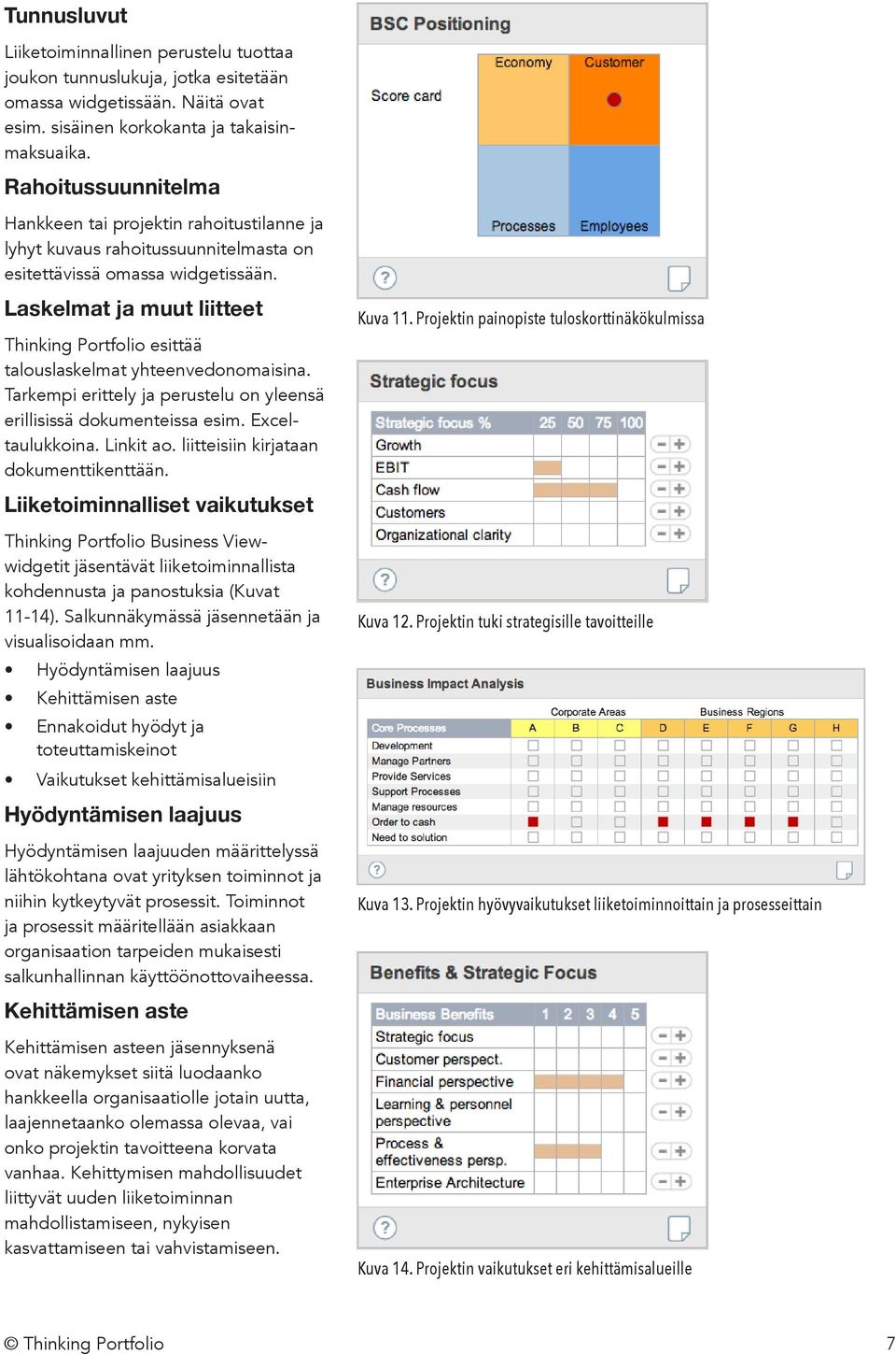 Laskelmat ja muut liitteet Thinking Portfolio esittää talouslaskelmat yhteenvedonomaisina. Tarkempi erittely ja perustelu on yleensä erillisissä dokumenteissa esim. Exceltaulukkoina. Linkit ao.