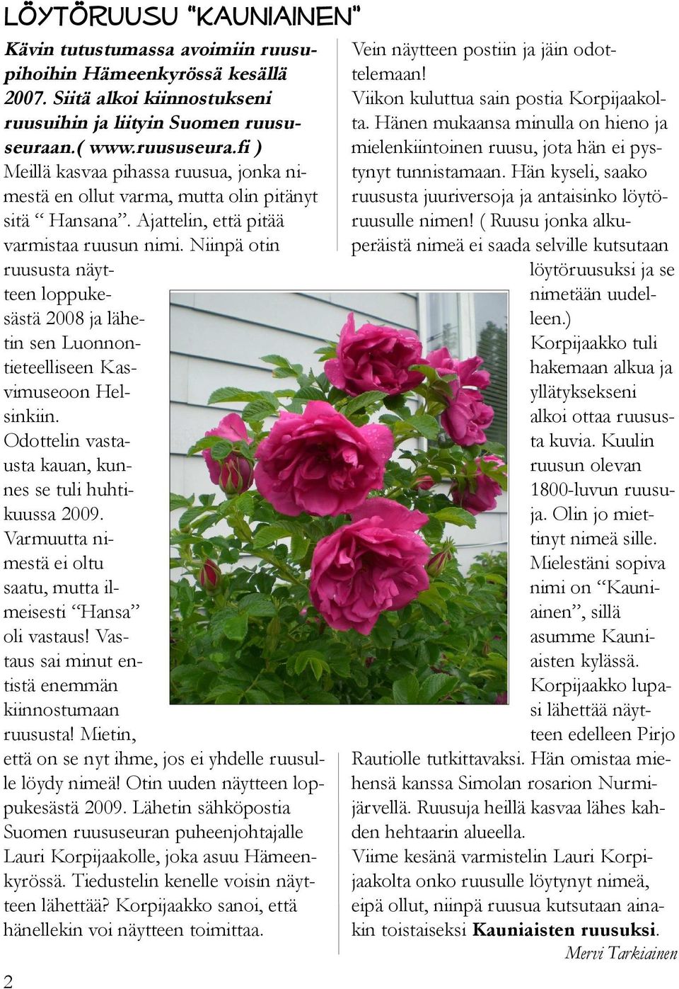 Niinpä otin ruususta näytteen loppukesästä 2008 ja lähetin sen Luonnontieteelliseen Kasvimuseoon Helsinkiin. Odottelin vastausta kauan, kunnes se tuli huhtikuussa 2009.