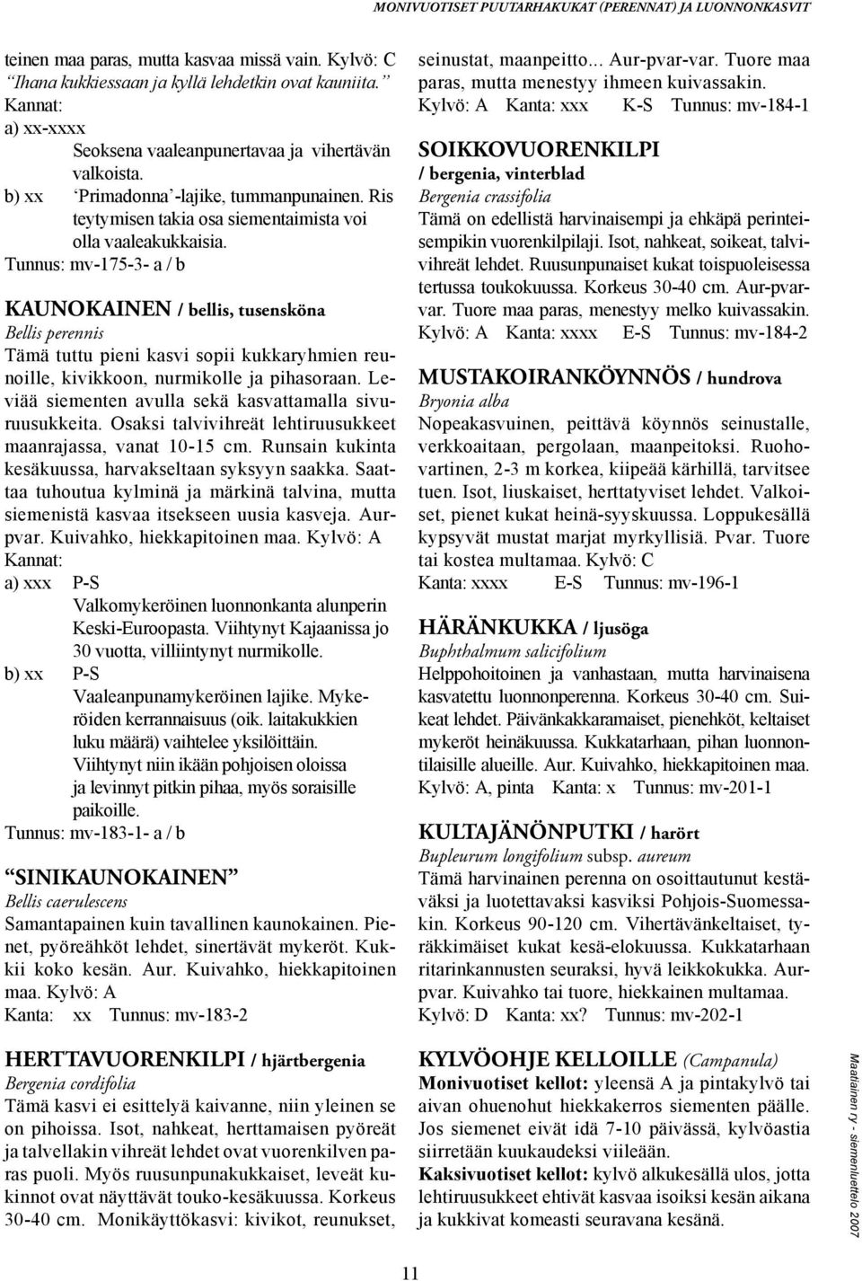 Tunnus: mv-175-3- a / b KAUNOKAINEN / bellis, tusensköna Bellis perennis Tämä tuttu pieni kasvi sopii kukkaryhmien reunoille, kivikkoon, nurmikolle ja pihasoraan.