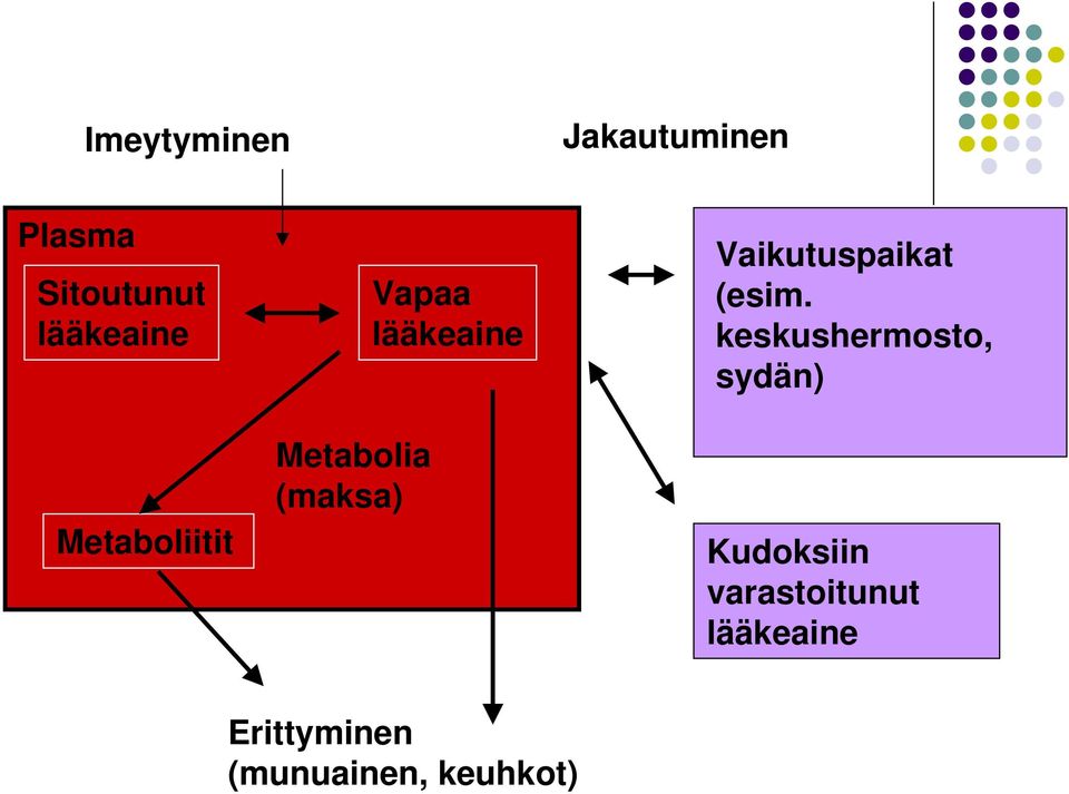 keskushermosto, sydän) Metaboliitit Metabolia