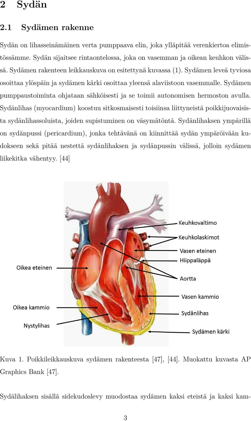 Sydämen pumppaustoiminta ohjataan sähköisesti ja se toimii autonomisen hermoston avulla.