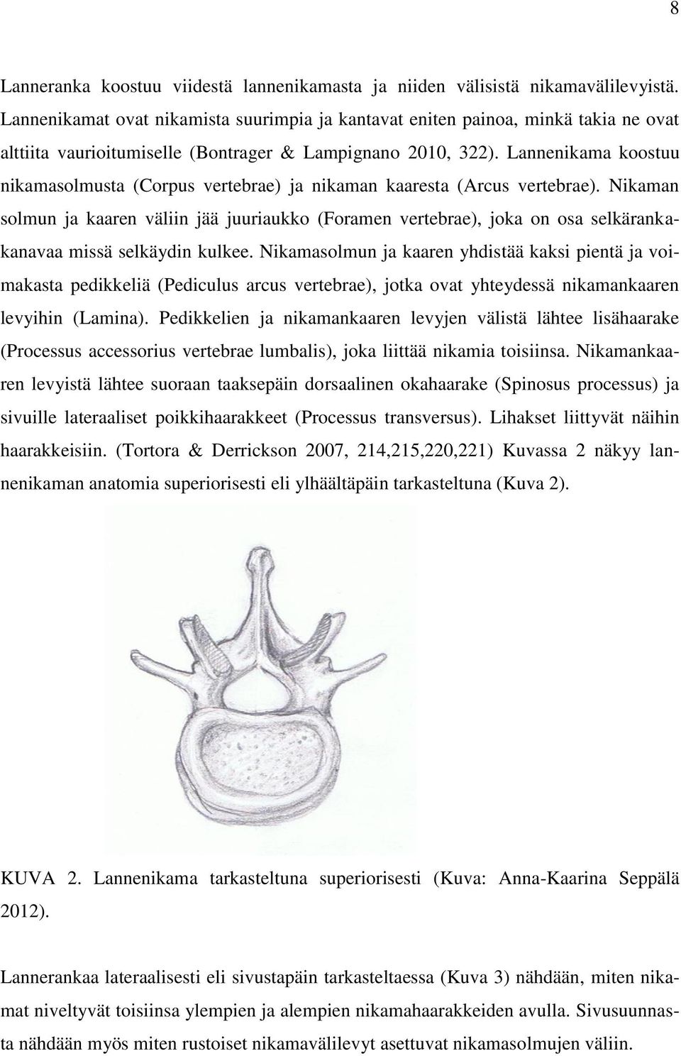 Lannenikama koostuu nikamasolmusta (Corpus vertebrae) ja nikaman kaaresta (Arcus vertebrae).