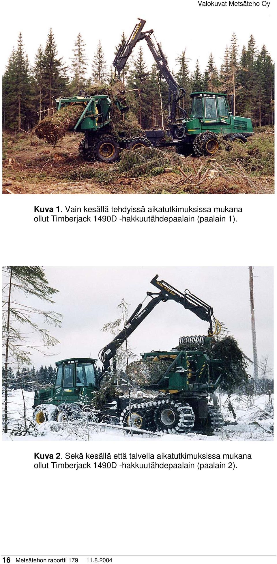 -hakkuutähdepaalain (paalain 1). Kuva 2.
