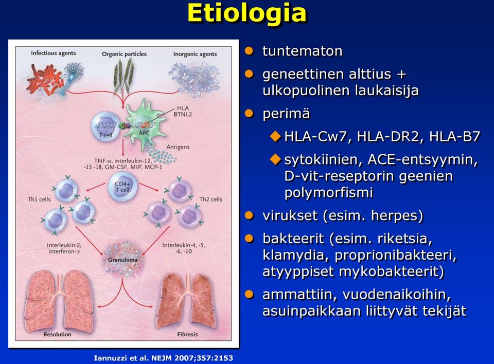 (esim. herpes) bakteerit (esim.