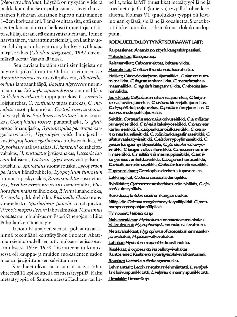 Toinen harvinainen, vaarantunut sienilaji, on Lauhavuoren lähdepuron haavanrungolta löytynyt kääpä harjasorakas (Gloidon strigosus), 1992 ensimmäistä kertaa Vaasan läänissä.