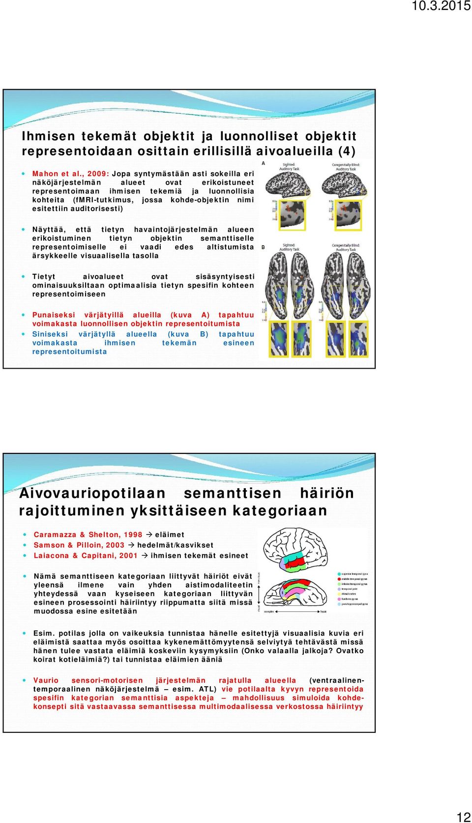 auditorisesti) Näyttää, että tietyn havaintojärjestelmän alueen erikoistuminen tietyn objektin semanttiselle representoimiselle ei vaadi edes altistumista ärsykkeelle visuaalisella tasolla Tietyt