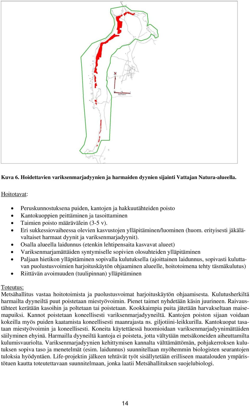 Eri sukkessiovaiheessa olevien kasvustojen ylläpitäminen/luominen (huom. erityisesti jäkälävaltaiset harmaat dyynit ja variksenmarjadyynit).