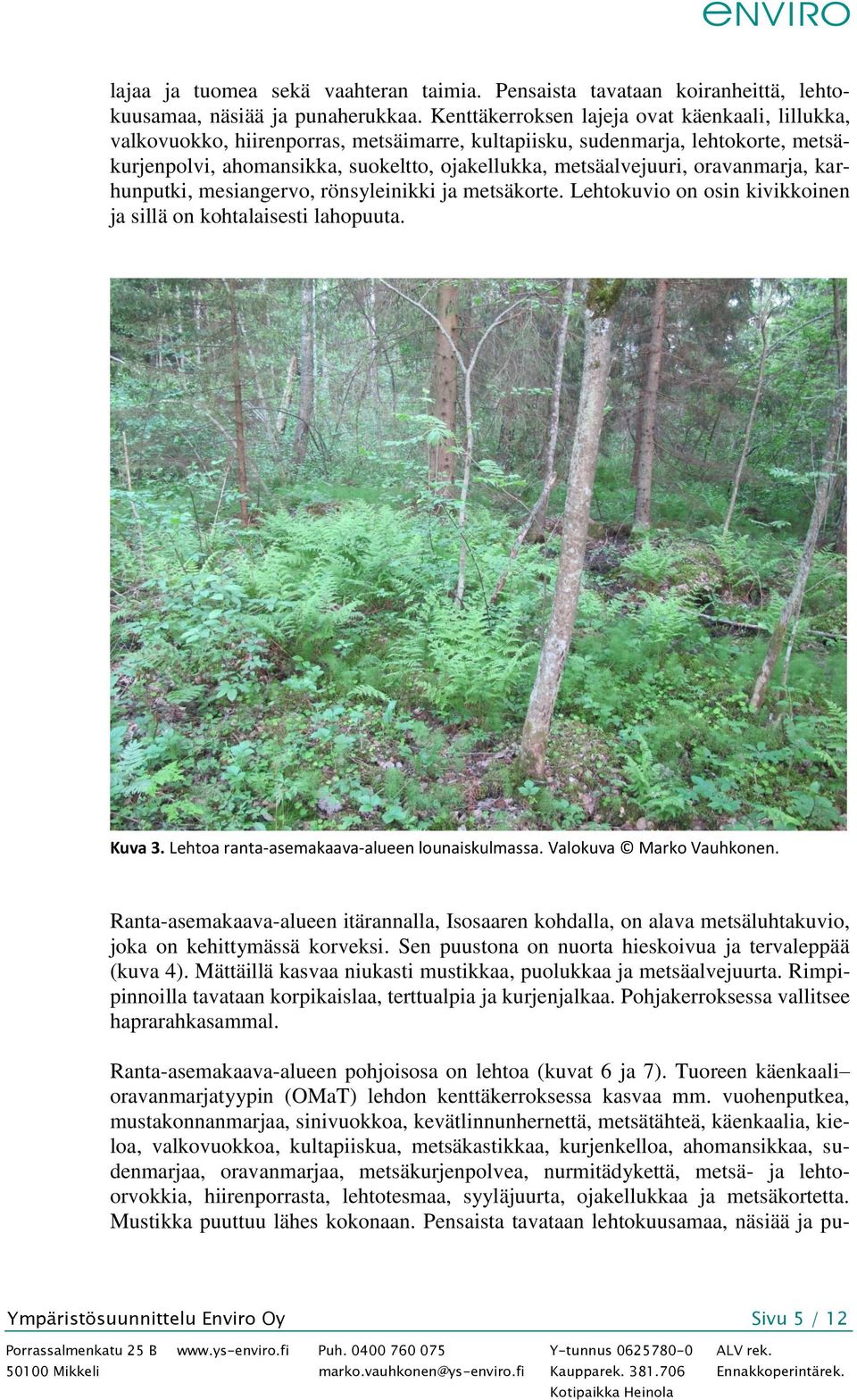 oravanmarja, karhunputki, mesiangervo, rönsyleinikki ja metsäkorte. Lehtokuvio on osin kivikkoinen ja sillä on kohtalaisesti lahopuuta. Kuva 3. Lehtoa ranta-asemakaava-alueen lounaiskulmassa.