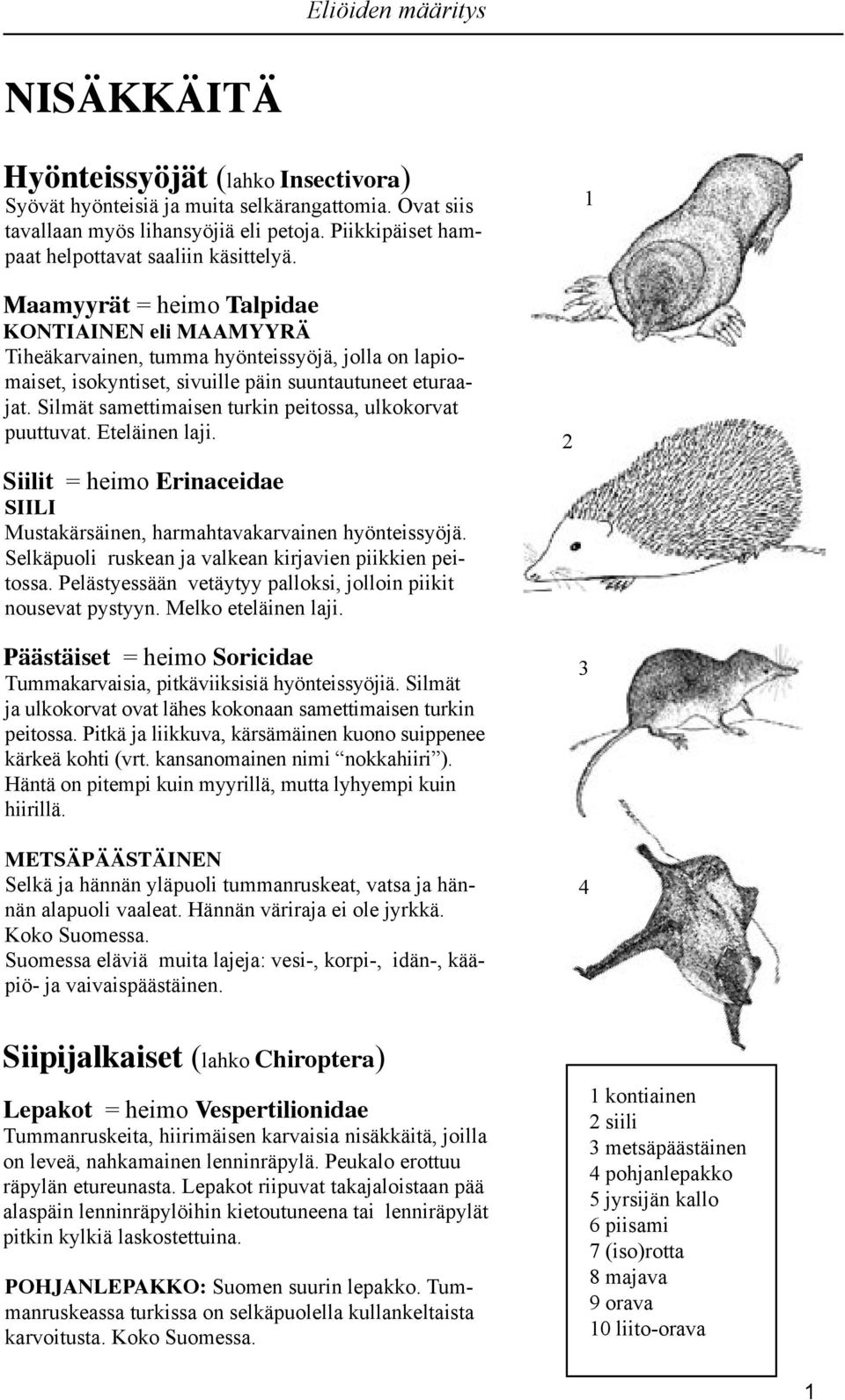 Silmät samettimaisen turkin peitossa, ulkokorvat puuttuvat. Eteläinen laji. Siilit = heimo Erinaceidae SIILI Mustakärsäinen, harmahtavakarvainen hyönteissyöjä.