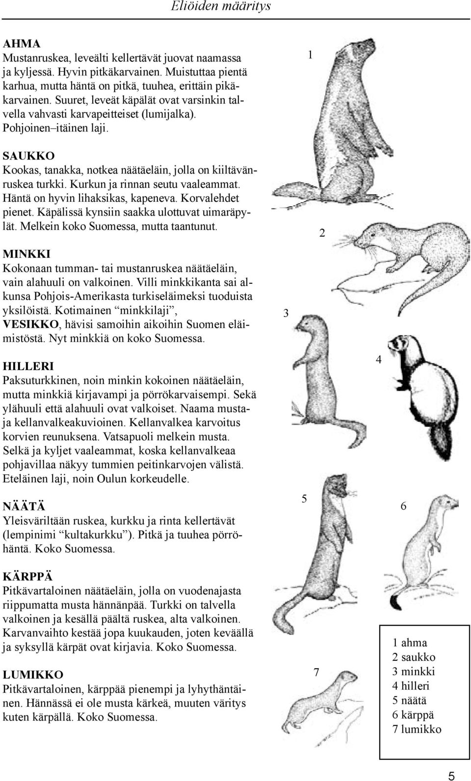 Kurkun ja rinnan seutu vaaleammat. Häntä on hyvin lihaksikas, kapeneva. Korvalehdet pienet. Käpälissä kynsiin saakka ulottuvat uimaräpylät. Melkein koko Suomessa, mutta taantunut.