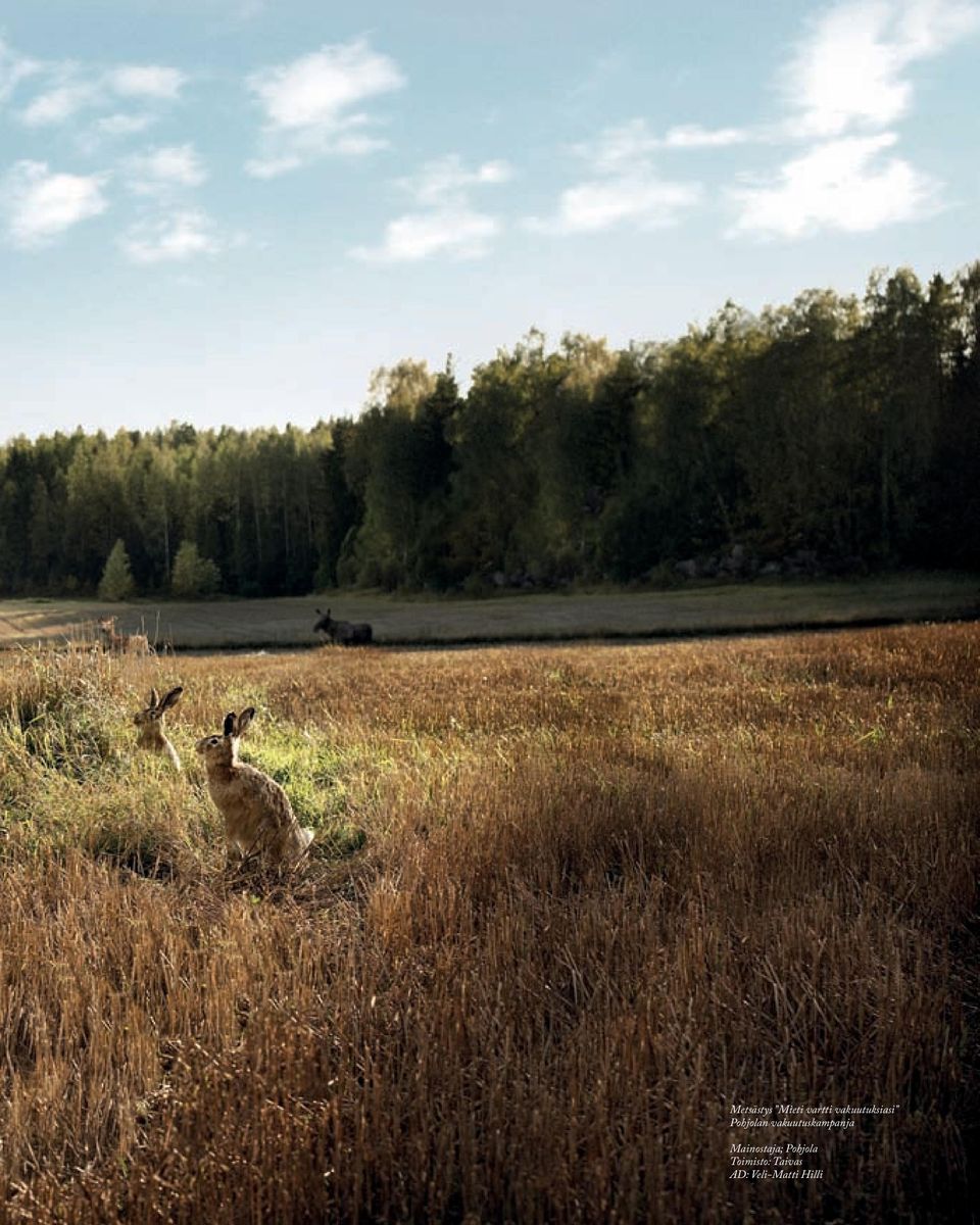 vakuutuskampanja Mainostaja;