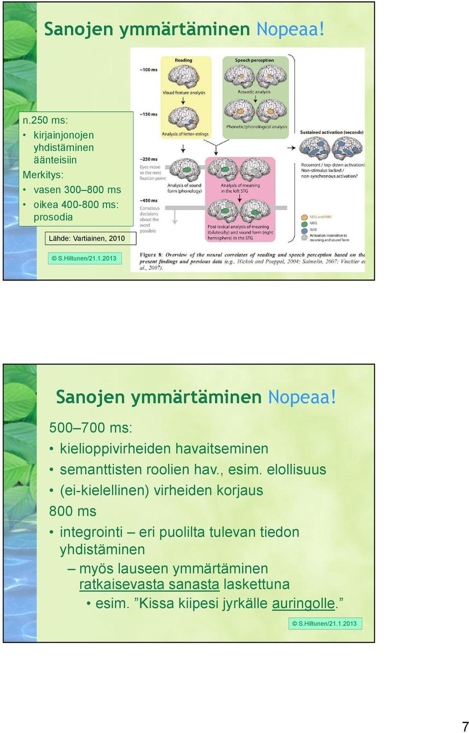 Hiltunen/21.1.2013 Sanojen ymmärtäminen Nopeaa! 500 700 ms: kielioppivirheiden havaitseminen semanttisten roolien hav., esim.