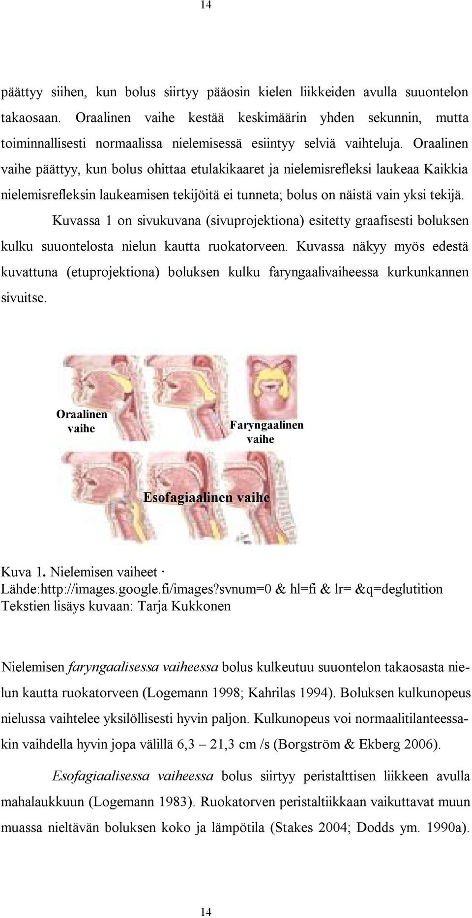 Oraalinen vaihe päättyy, kun bolus ohittaa etulakikaaret ja nielemisrefleksi laukeaa Kaikkia nielemisrefleksin laukeamisen tekijöitä ei tunneta; bolus on näistä vain yksi tekijä.