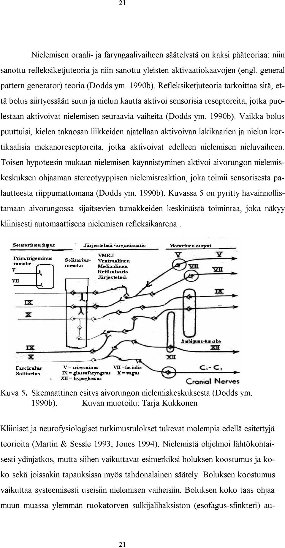 Refleksiketjuteoria tarkoittaa sitä, että bolus siirtyessään suun ja nielun kautta aktivoi sensorisia reseptoreita, jotka puolestaan aktivoivat nielemisen seuraavia vaiheita (Dodds ym. 1990b).