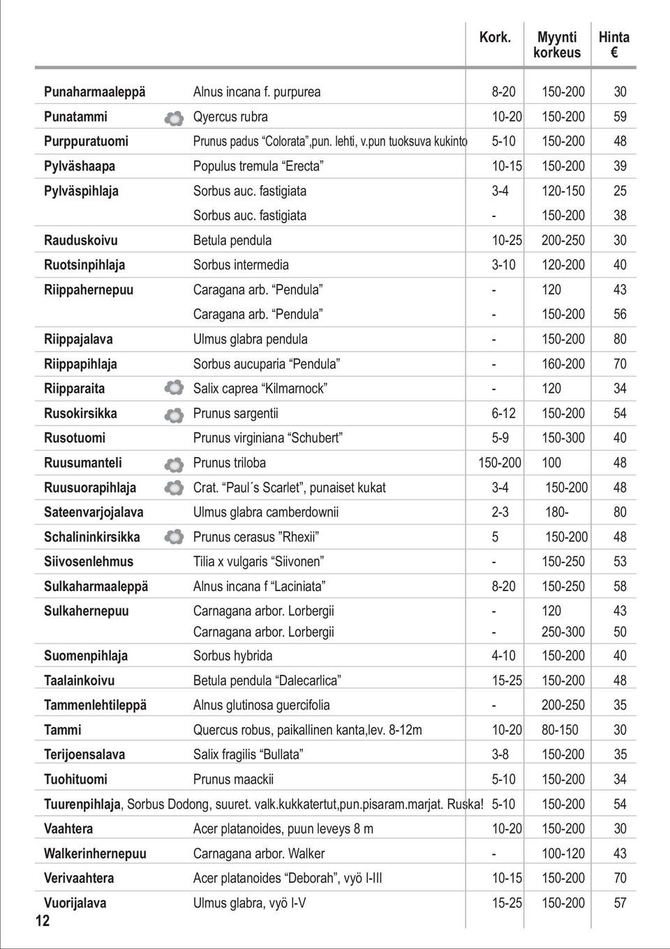 fastigiata - 150-200 38 Rauduskoivu Betula pendula 10-25 200-250 30 Ruotsinpihlaja Sorbus intermedia 3-10 120-200 40 Riippahernepuu Caragana arb. Pendula - 120 43 Caragana arb.