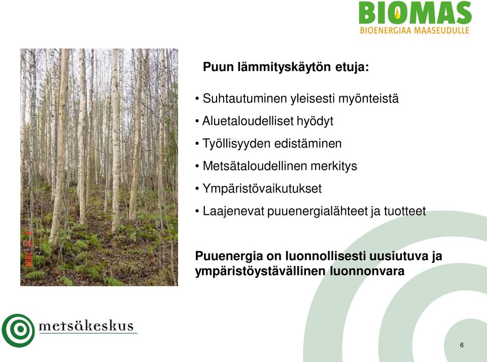 merkitys Ympäristövaikutukset Laajenevat puuenergialähteet ja