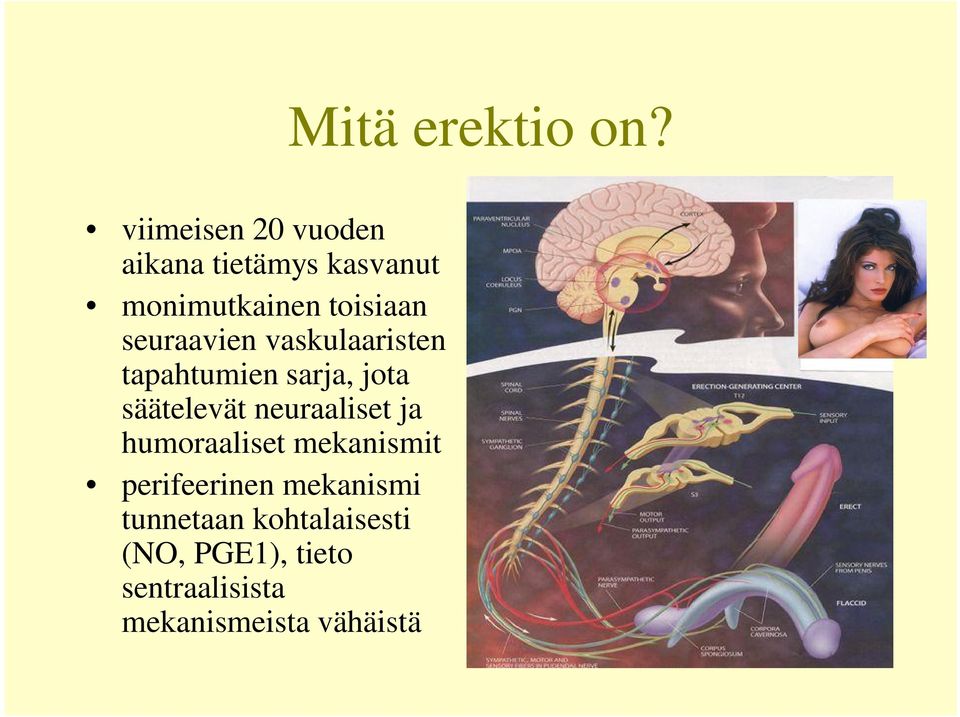 neuraaliset ja humoraaliset mekanismit perifeerinen mekanismi tunnetaan