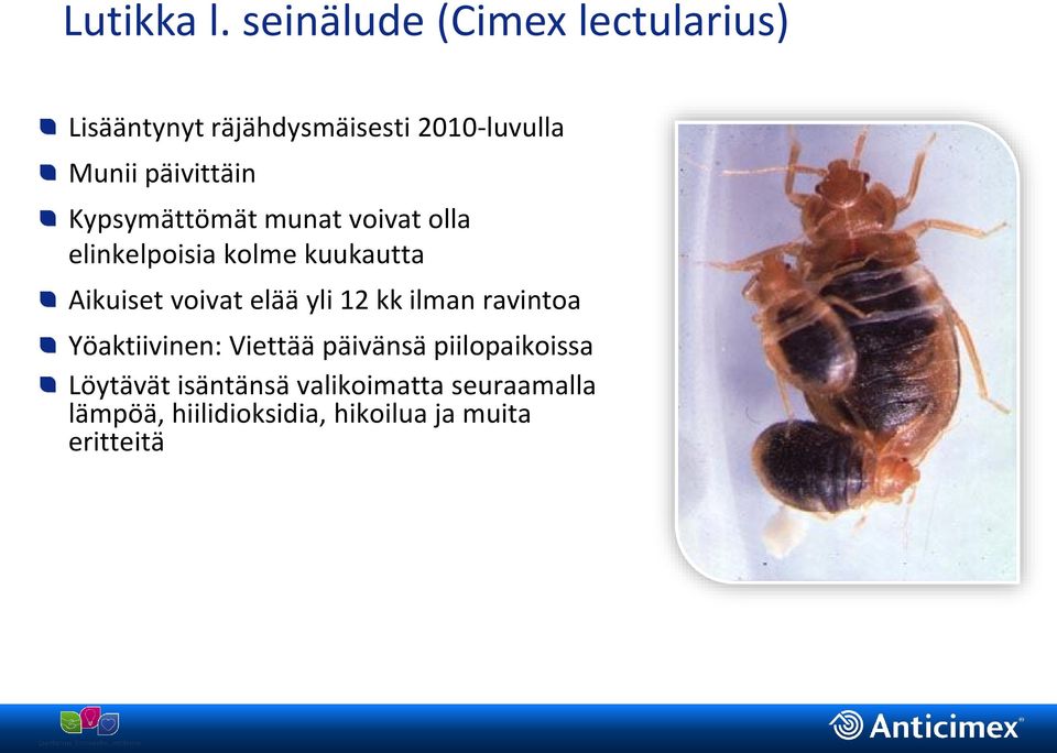 päivittäin Kypsymättömät munat voivat olla elinkelpoisia kolme kuukautta Aikuiset