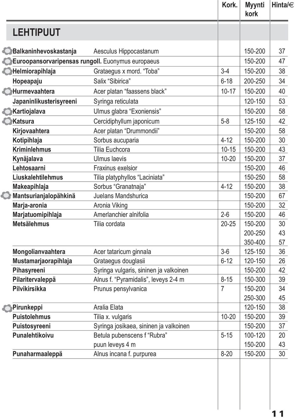 Exoniensis 150-200 58 Katsura Cercidiphyllum japonicum 5-8 125-150 42 Kirjovaahtera Acer platan Drummondii 150-200 58 Kotipihlaja Sorbus aucuparia 4-12 150-200 30 Kriminlehmus Tilia Euchcora 10-15