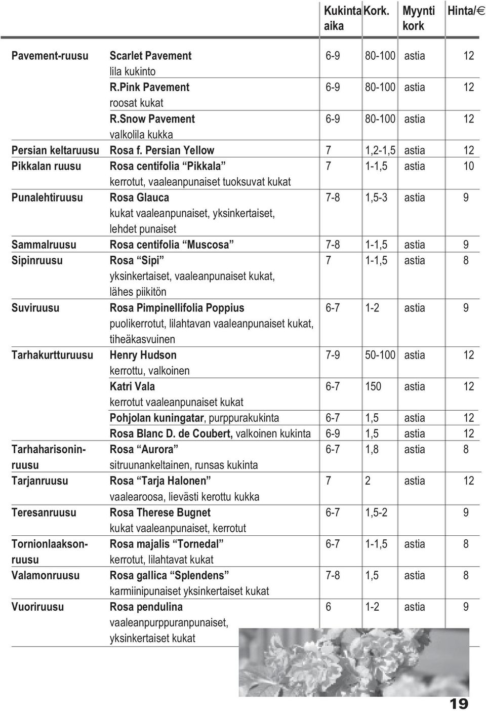 Persian Yellow 7 1,2-1,5 astia 12 Pikkalan ruusu Rosa centifolia Pikkala 7 1-1,5 astia 10 kerrotut, vaaleanpunaiset tuoksuvat kukat Punalehtiruusu Rosa Glauca 7-8 1,5-3 astia 9 kukat vaaleanpunaiset,