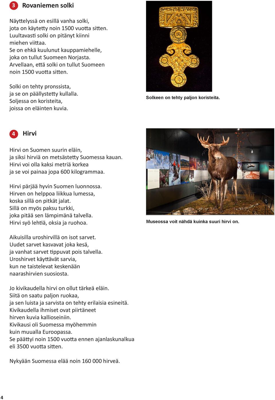 Soljessa on koristeita, joissa on eläinten kuvia. Solkeen on tehty paljon koristeita. 4 Hirvi Hirvi on Suomen suurin eläin, ja siksi hirviä on metsästetty Suomessa kauan.